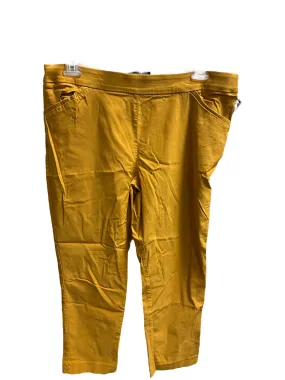 Gold Pants Cropped Counterparts, Size 18