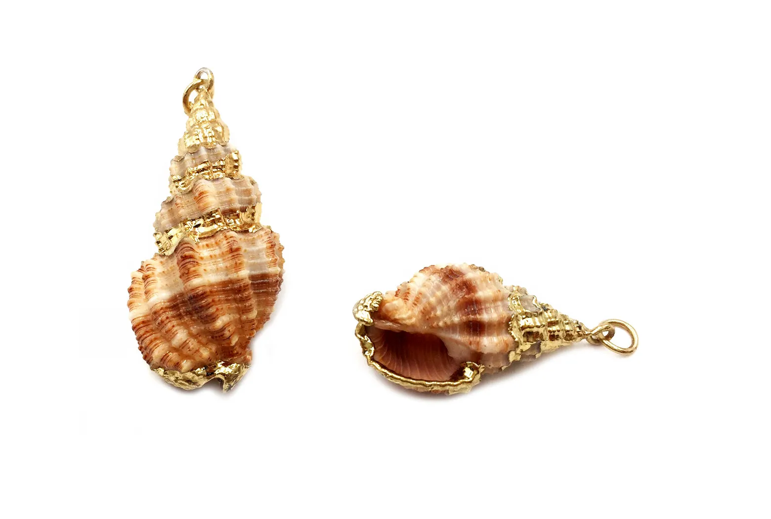 SP1062 Conch Sea Shell Pendant