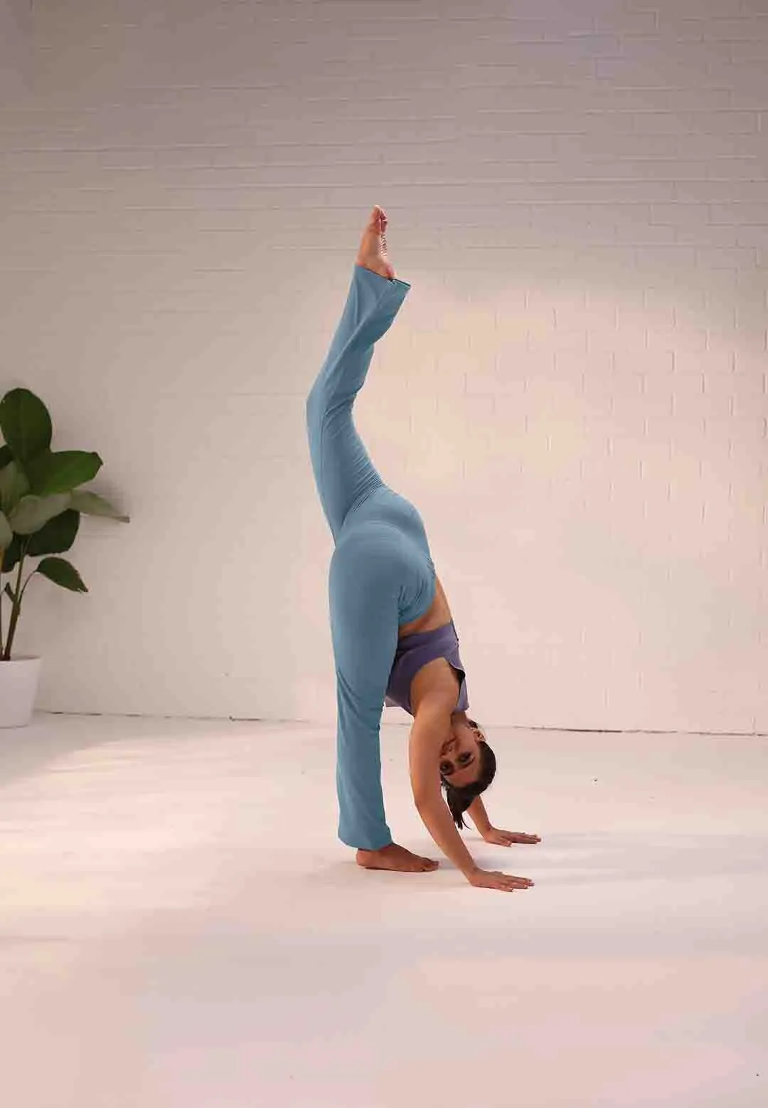Ultimate Flare Pants Tall